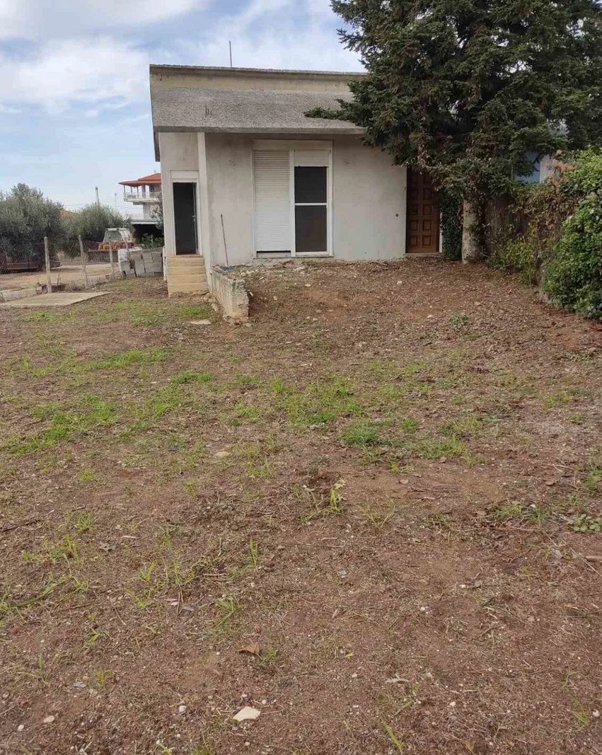 –342948728_1600x1200