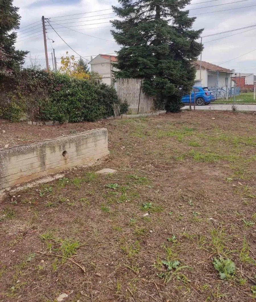 –342948733_1600x1200