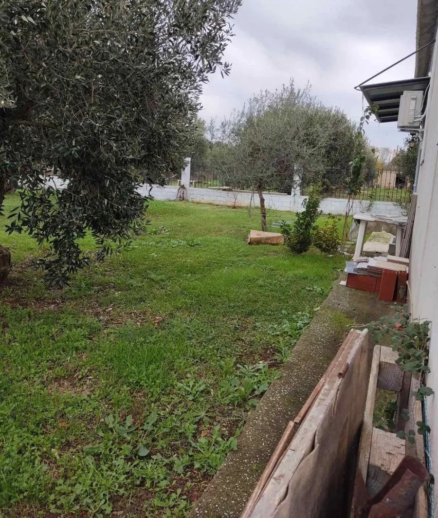 –343012710_1600x1200